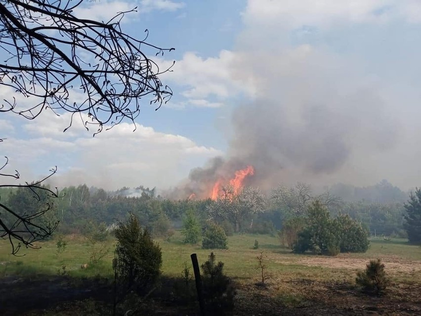 Pożar w miejscowości Prosna w gminie Nowe Miasto nad Pilicą....