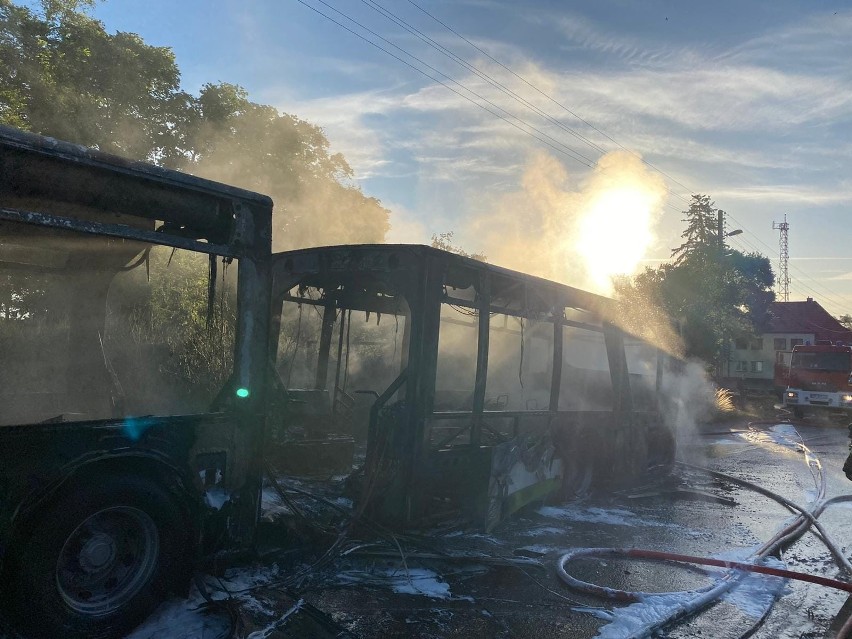 Pożar autobusu w gminie Dobra. Nikomu nic się nie stało [ZDJĘCIA]