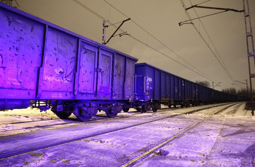 W Łodzi kobieta wpadła pod pociąg. Zginęła na miejscu [ZDJĘCIA+FILM]