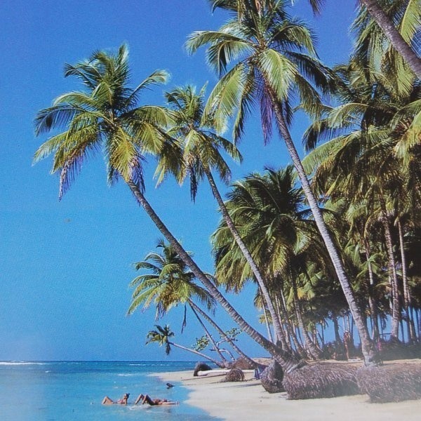 Piękne plaże to najbardziej znany skarb Dominikany.