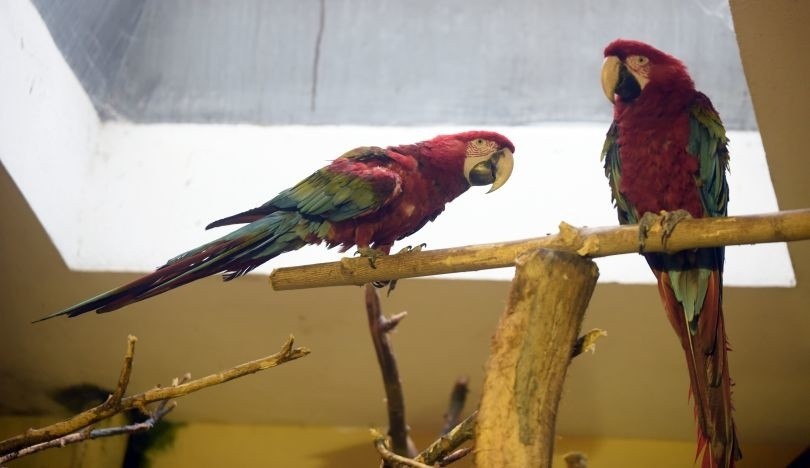 Łódzki ogród zoologiczny