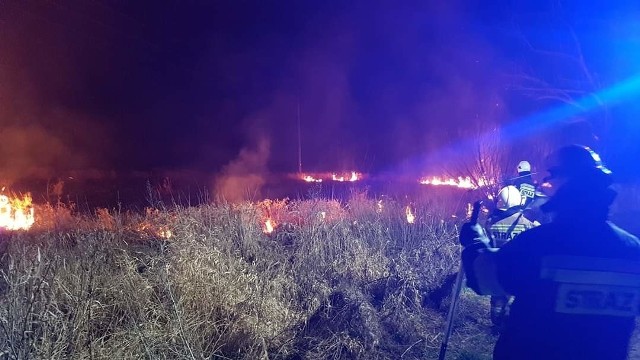 Płoną trawy i nieużytki w powiecie sandomierskim. Najwięcej zdarzeń na terenie gminy Samborzec.