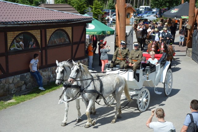 XIV Wielka Parada Bryczek i Wozów w Szymbarku [9.07.2017 r.]