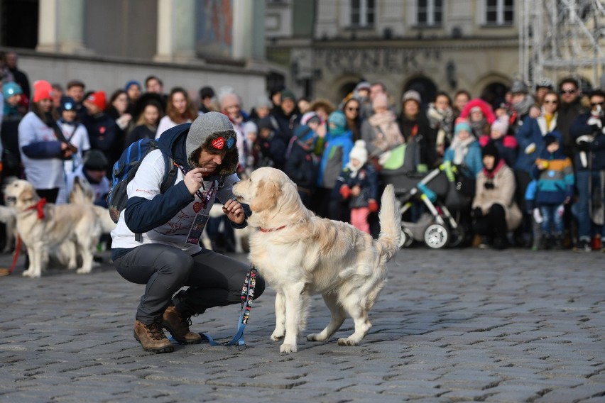 Czworonożnych wolontariuszy można spotkać w niedzielę od...