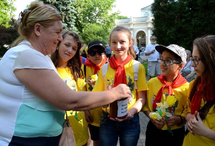 Żonkile niosą nadzieję. Buscy harcerze zbierali pieniądze na budowę hospicjum