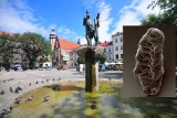 Szykuje się rewolucja na placu Wolnica w Krakowie. Pojawią się tajemnicze niesporczaki, ławka z trawą oraz zielony azyl dla pieszych 