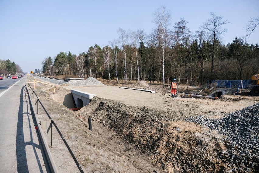 Pracownicy firmy remontującej linię kolejową z Torunia do...