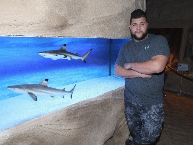 Oskar Romaniuk, opiekun Oceanarium, prezentuje żarłacze, które w środę dotarły do Kielc.