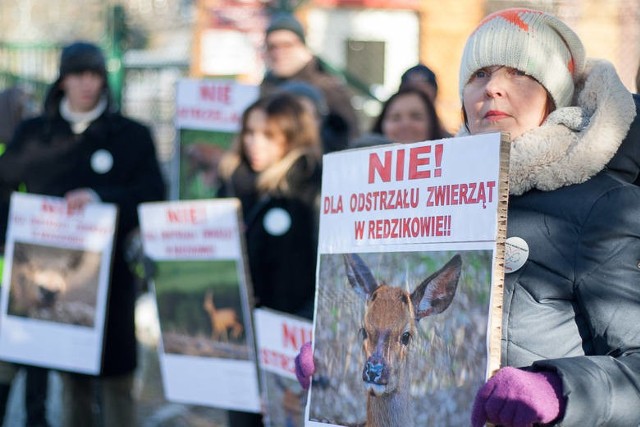 Protest ekologów w Redzikowie.