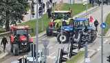 W Kielcach ruszył protest rolników. Są podobizny Donalda Tuska, Jarosława Kaczyńskiego, Mateusza Morawieckiego i Michała Kołodziejczaka