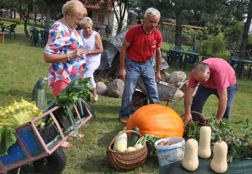 W Rodzinnym Ogrodzie Działkowym ,,Bemowo’’ w Ostrołęce 18 sierpnia działkowcy z rodzinami bawili się z okazji dorocznego Dnia Działkowca