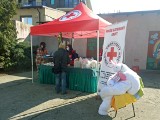 PCK w Bydgoszczy zorganizował nietypowe śniadanie wielkanocne. "W dobie koronawirusa też się udało"