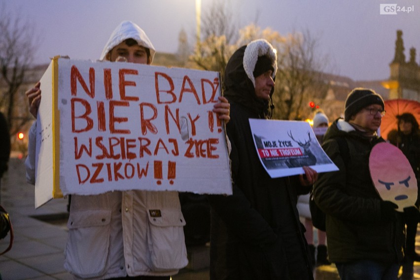 Szczecinianie protestują przeciw odstrzałowi dzików. "To barbarzyńskie rozporządzenie!" [ZDJĘCIA, WIDEO]