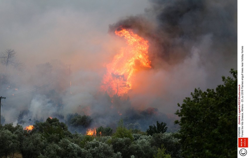 Pożary lasów w Grecji
