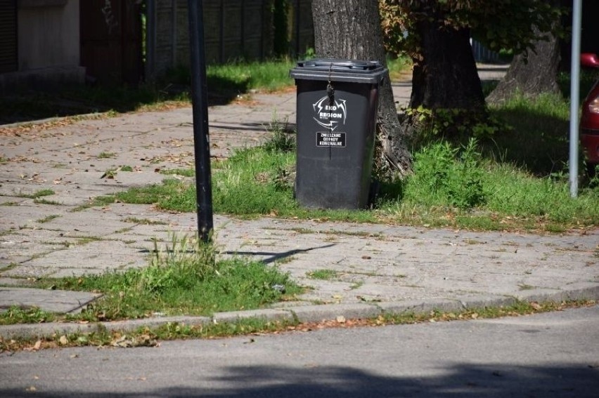 Kolejna podwyżka w Pabianicach. Po prądzie i podatkach czas na śmieci. Ile zapłacą pabianiczanie?