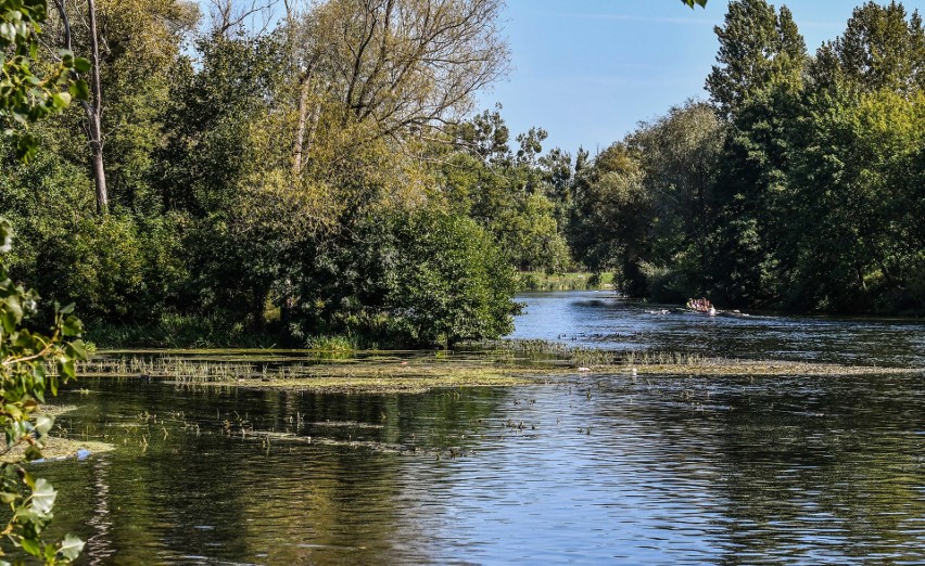 Mimo atrakcyjnego położenia, tzw. Wyspa Wisielca na Brdzie w...