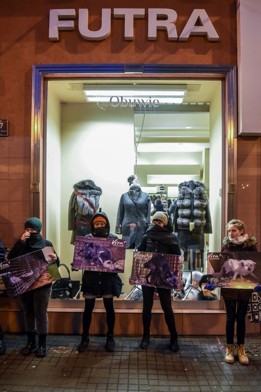 Poznańskie Dni Bez Futra: Protest pod sklepem przy ul. Św....