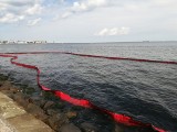 Olej opałowy w wodzie przy Bulwarze Nadmorskim w Gdyni. Do zatoki dostało się ponad tysiąc litrów mazutu. Zamknięto kąpielisko Śródmieście