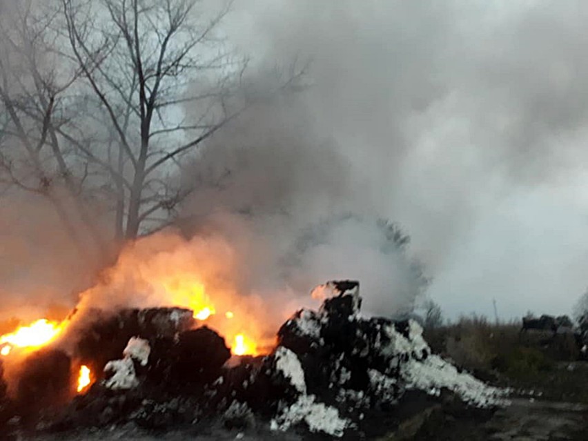 Gmina Stara Dąbrowa. Wielki pożar na składowisku odpadów. 30 strażaków w akcji [ZDJĘCIA, WIDEO]