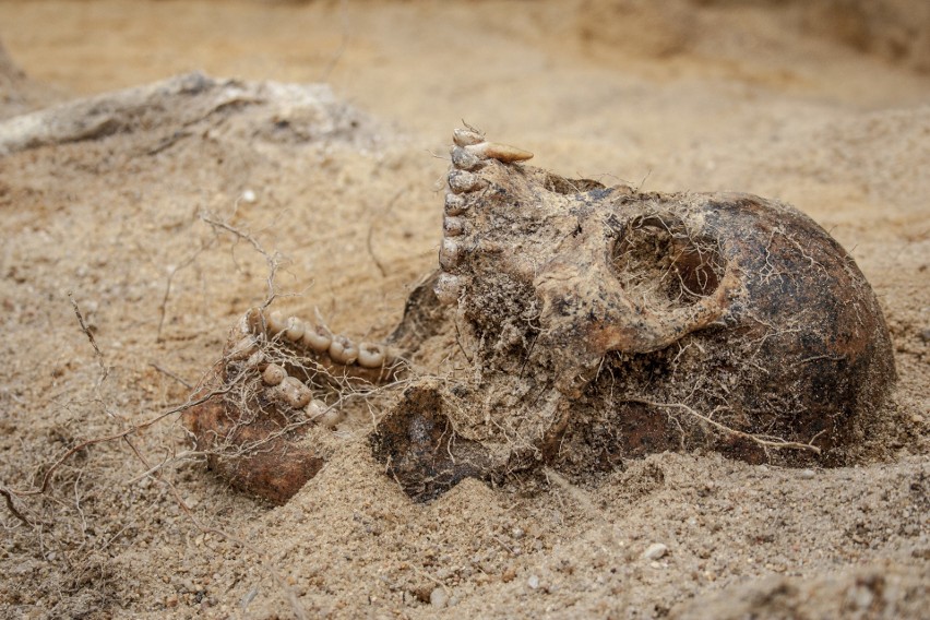 Dziś archeolodzy skłaniają się ku teorii, że są to szczątki...