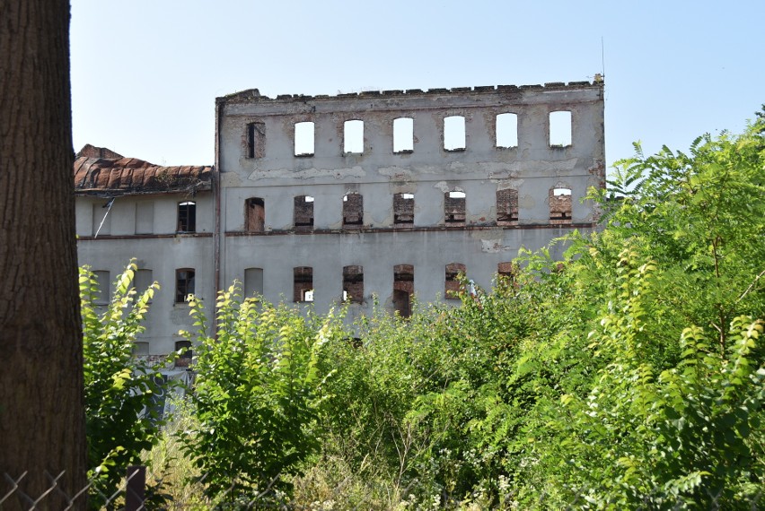 Pozostałości młyna Szancera straszą w centrum Tarnowa....