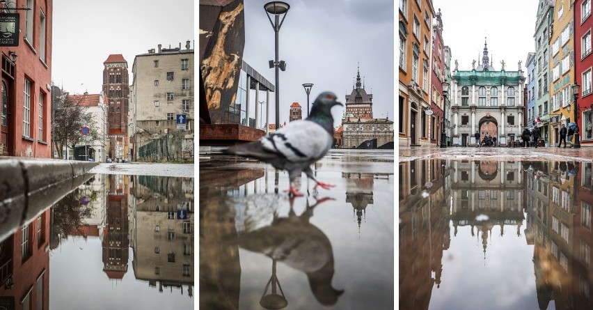 Gdańsk widziany w kałuży jest niesamowity! Koniecznie zobacz...