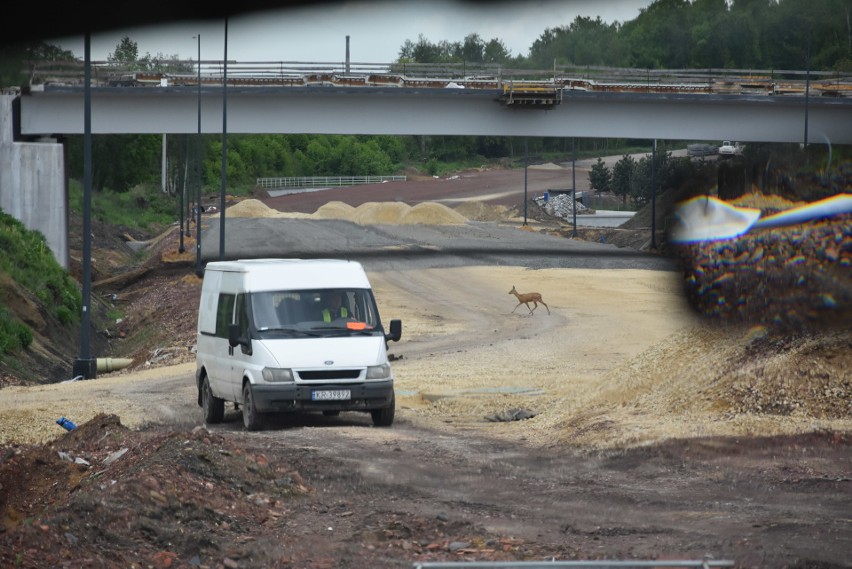 Drogą Racibórz - Pszczyna w aucie z prezydentem Kuczerą. Co...