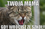Dzień Matki z uśmiechem! Oto najlepsze memy na święto mam. Mama ma zawsze rację