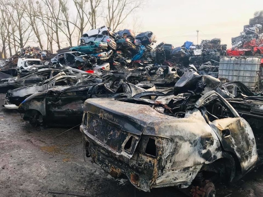 Na terenie firmy Ambit spłonęło 20 samochodów. Zdjęcie...