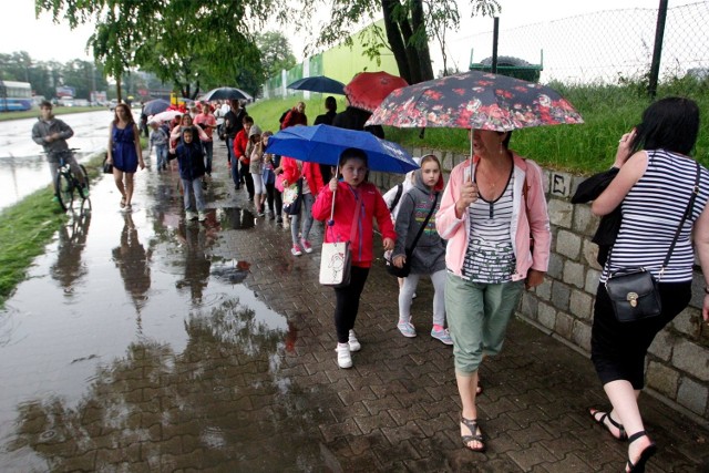 Deszcz we Wrocławiu możliwy popołudniami w ciągu całego tygodnia