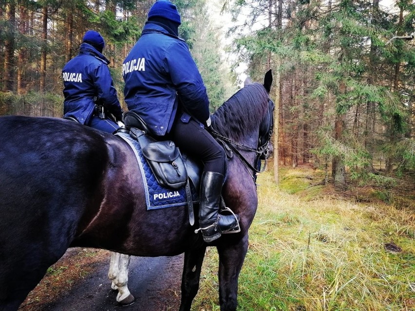 Policyjne konie i ich jeźdźcy na granicy z Białorusią. Tak wygląda praca wyjątkowych duetów [ZDJĘCIA]