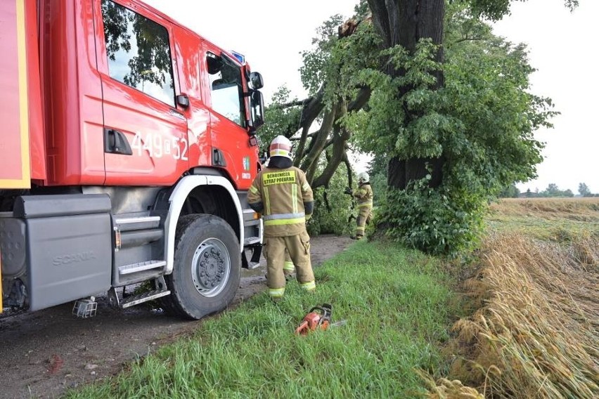 Efekt przejścia burzy w powiecie grudziądzkim