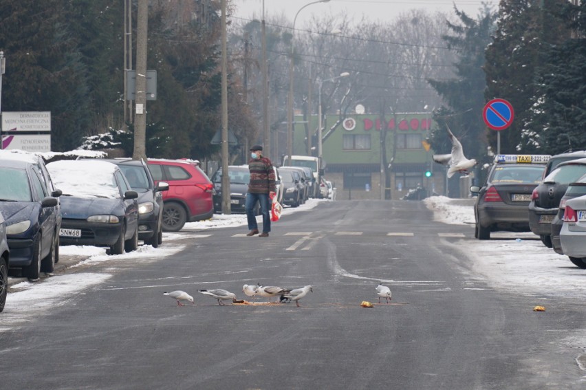 Czy liczba miejsc, na których będzie można pozostawić auto...