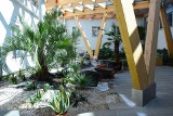 Przepiękne patio i klimatyczna kawiarnia w przyszłym sanatorium Zielone Ogrody w Ustce 