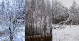 Zimowy dzień w Podlesiu, gmina Oleśnica w obiektywie Krzysztofa Dubila [WASZE ZDJĘCIA]
