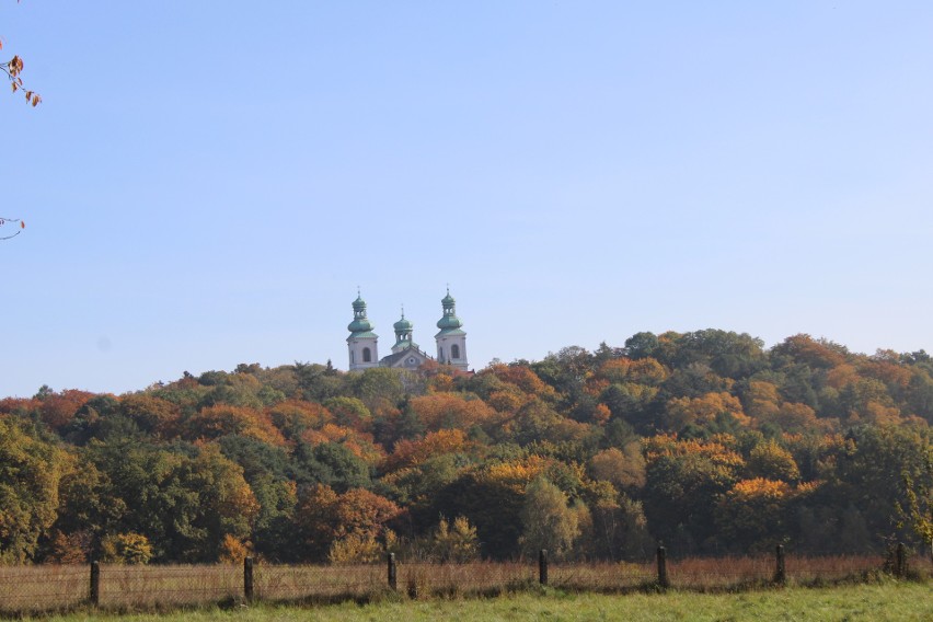 Klasztor Kamedułów na Bielanach. Południowy skraj Lasu...