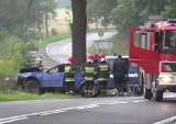 2 osoby zginęły w wypadku na Dolnym Śląsku. Samochód uderzył w drzewo [wideo]