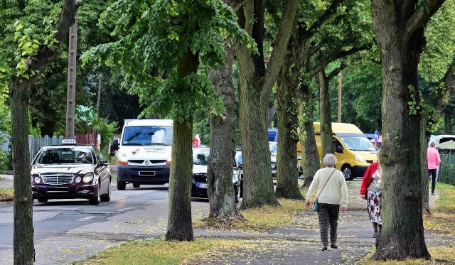 Przypomnijmy, że pod topór ma pójść 12 drzew rosnących przy ulicy Plebanka, 38 - przy ulicy Poprzecznej i 20 - przy ulicy Przypadek