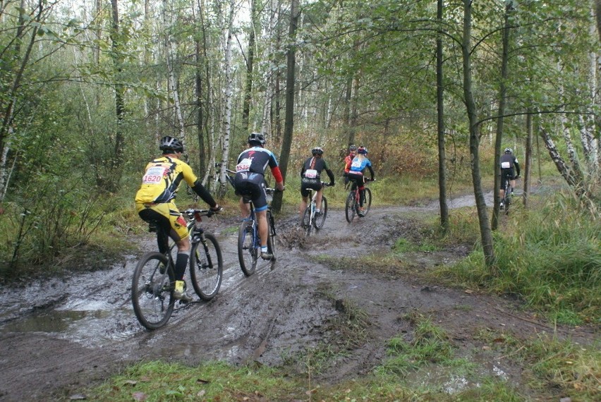 Skandia Maraton Lang Team w Dąbrowie Górniczej