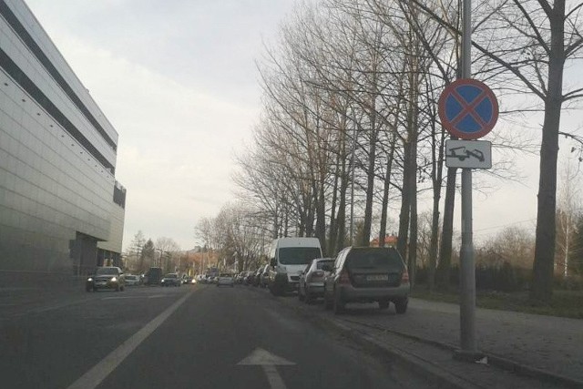 Za Galerią Rzeszów ulubione miejsca postojowe to ścieżka rowerowa i chodnik wzdłuż torów kolejowych. Samochody całymi dniami stoją też na jezdni i trawnikach pod wiaduktem Śląskim.