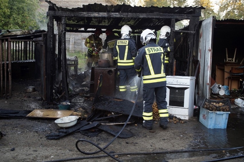 Pożar w Łosinie. Spaliła się szopa, strażacy ratowali garaż