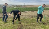 Kolejna udana akcja sadzenie drzew w gminie Skalbmierz. Przy remizie oraz stadionie rośnie około 100 nowych sadzonek. Zobaczcie zdjęcia