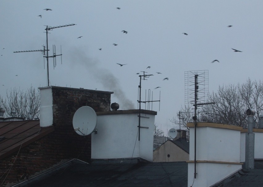 Smog w Lublinie. Lepiej nie wychodzić z domu