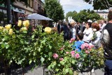 7. Festiwal Róż w Łasku. Otwarcie ogrodu różanego i piknik rodzinny [ZDJĘCIA FILM]