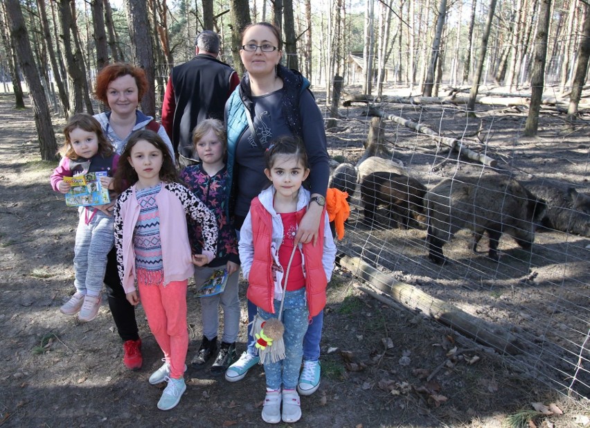 Ruszył sezon na zwiedzanie Leśnego Zacisza – pierwszego zoo...