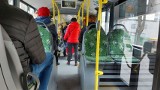 Zielona Góra. Rewolucja w MZK. Znikają linie, zmieniają się trasy i godziny kursowania autobusów. Tylu nowości jeszcze nie było 