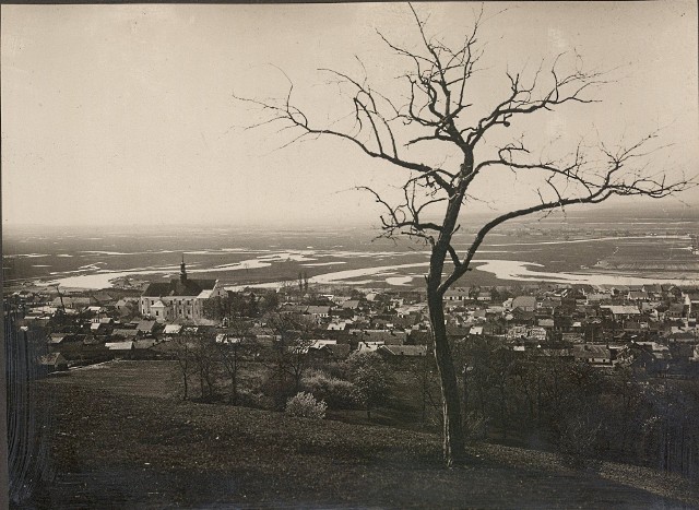 Panorama Pińczowa w 1931 roku