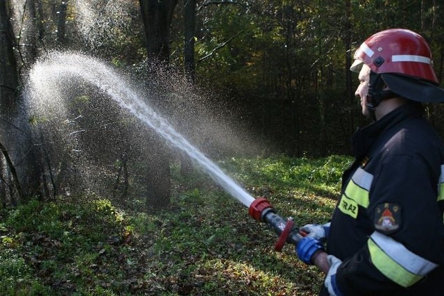 Choć pożar lasu w Ulanowie był na niby to jednak strażacy musieli wykazać się umiejętnościami.