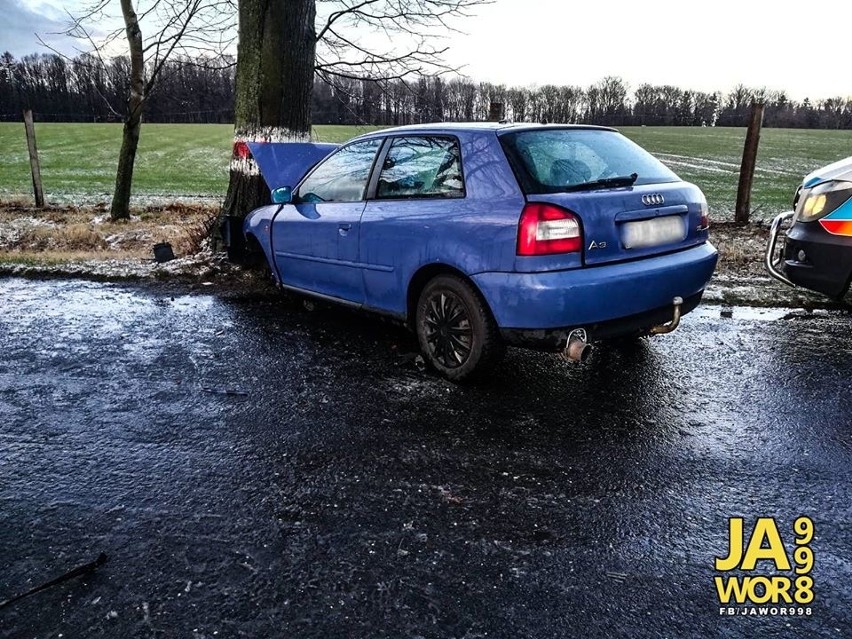 Audi rozbiło się na drzewie. Jedna osoba ranna