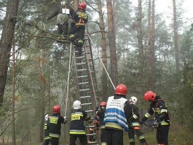 Włoszczowscy strażacy przećwiczyli między innymi elementy ratownictwa wysokościowego - ściągali z drzewa z wysokości około 7 metrów zziębniętego, zdenerwowanego mężczyznę, który wszedł tam i nie mógł o własnych siłach zejść na dół.